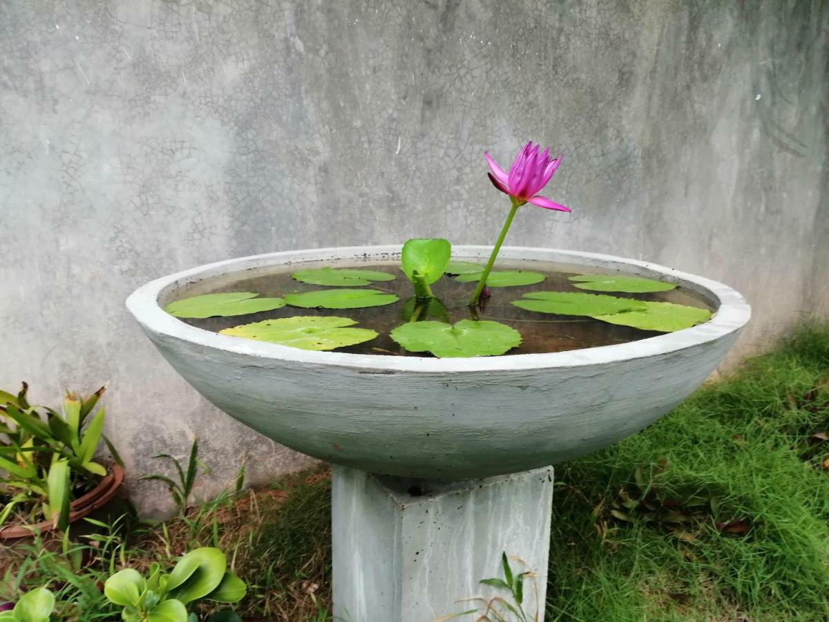 Orchid Villa #10 Hikkaduwa Exterior foto