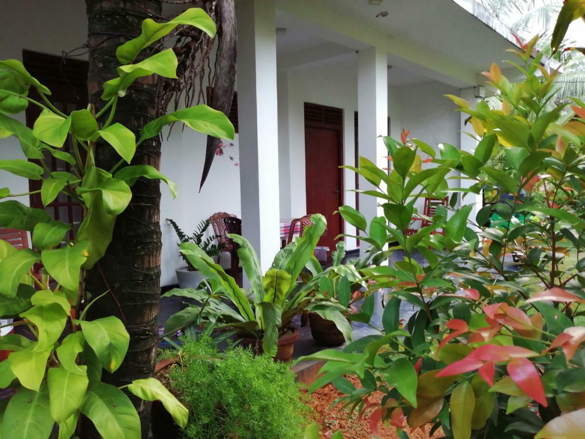 Orchid Villa #10 Hikkaduwa Exterior foto