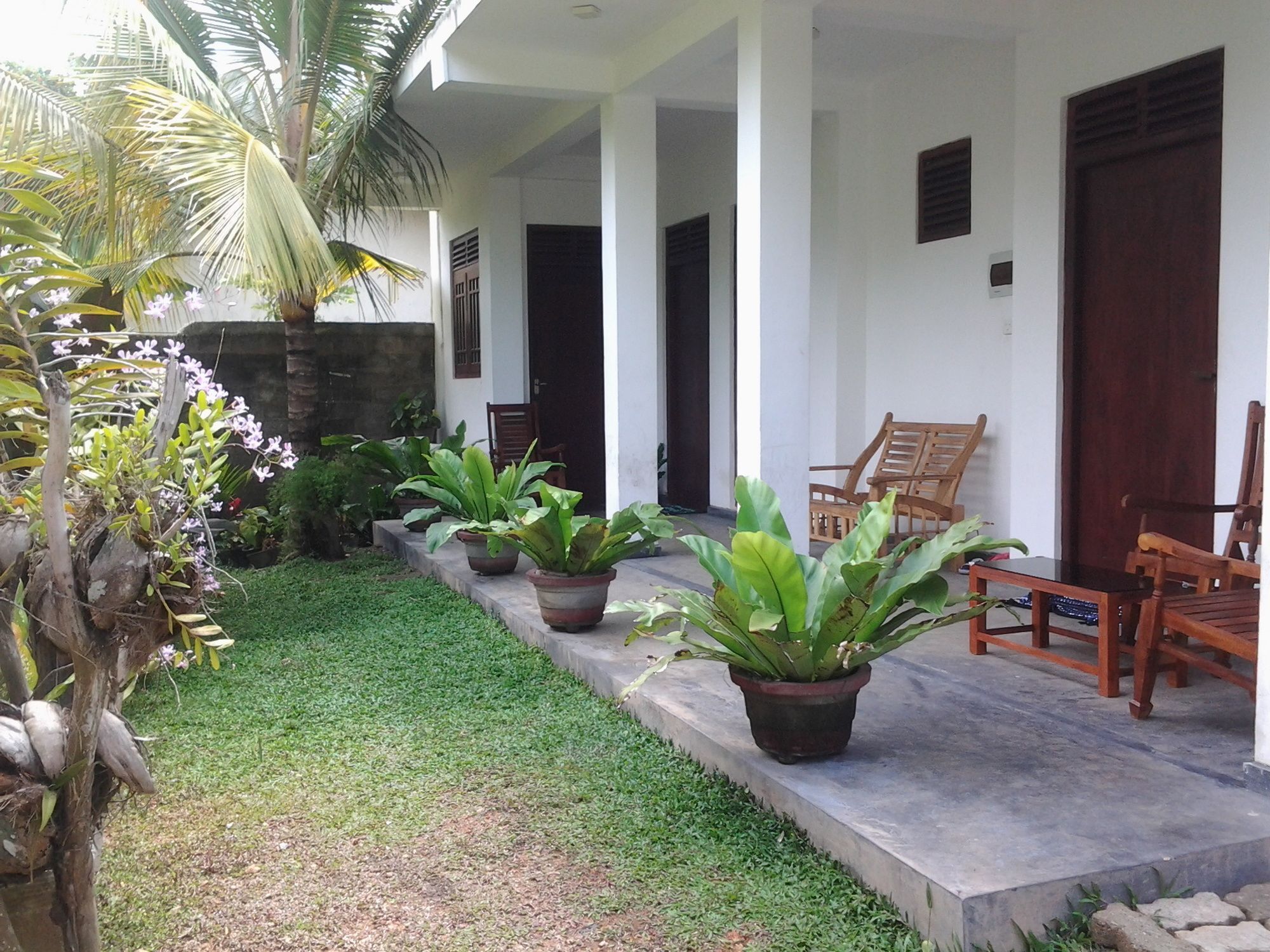 Orchid Villa #10 Hikkaduwa Exterior foto